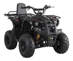 Fyrhjuling X-Pro Worker ATV 110cc Svart med back nocolor